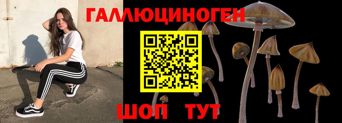 Псилоцибиновые грибы MAGIC MUSHROOMS Елизово