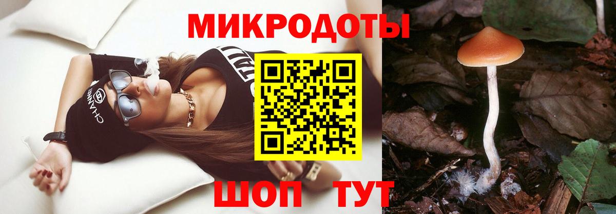 Галлюциногенные грибы GOLDEN TEACHER  Псилоцибиновые грибы Cubensis  Вход с VPN  Елизово 